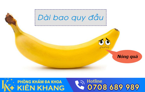 Hình ảnh dài bao quy đầu