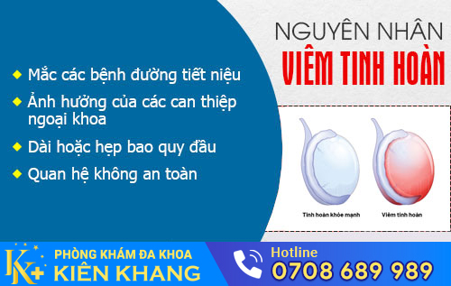 Nguyên nhân gây viêm tinh hoàn