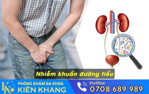 80% trường hợp nhiễm khuẩn tiểu do vi khuẩn E.Coli